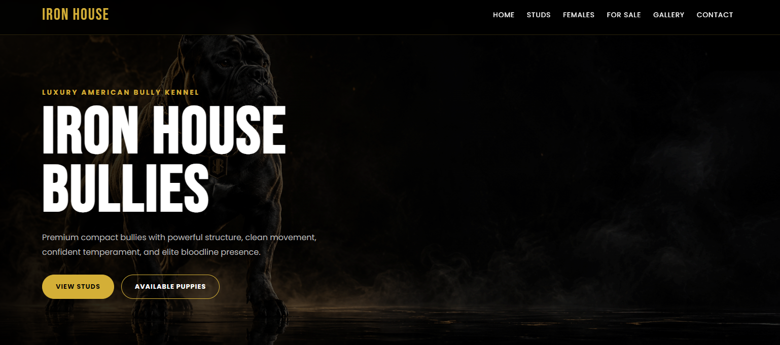 Website sample 1