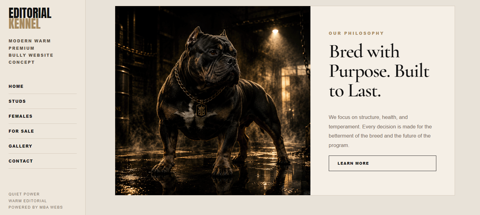 Website sample 2