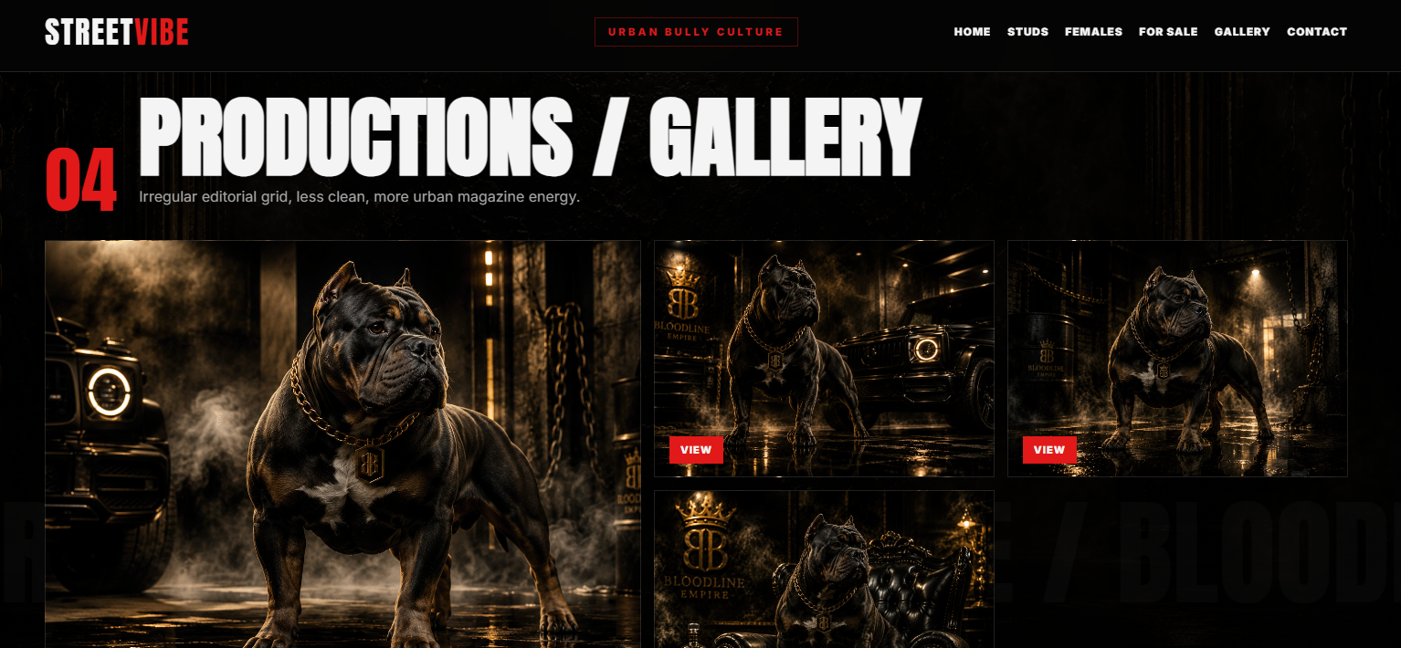 Website sample 3